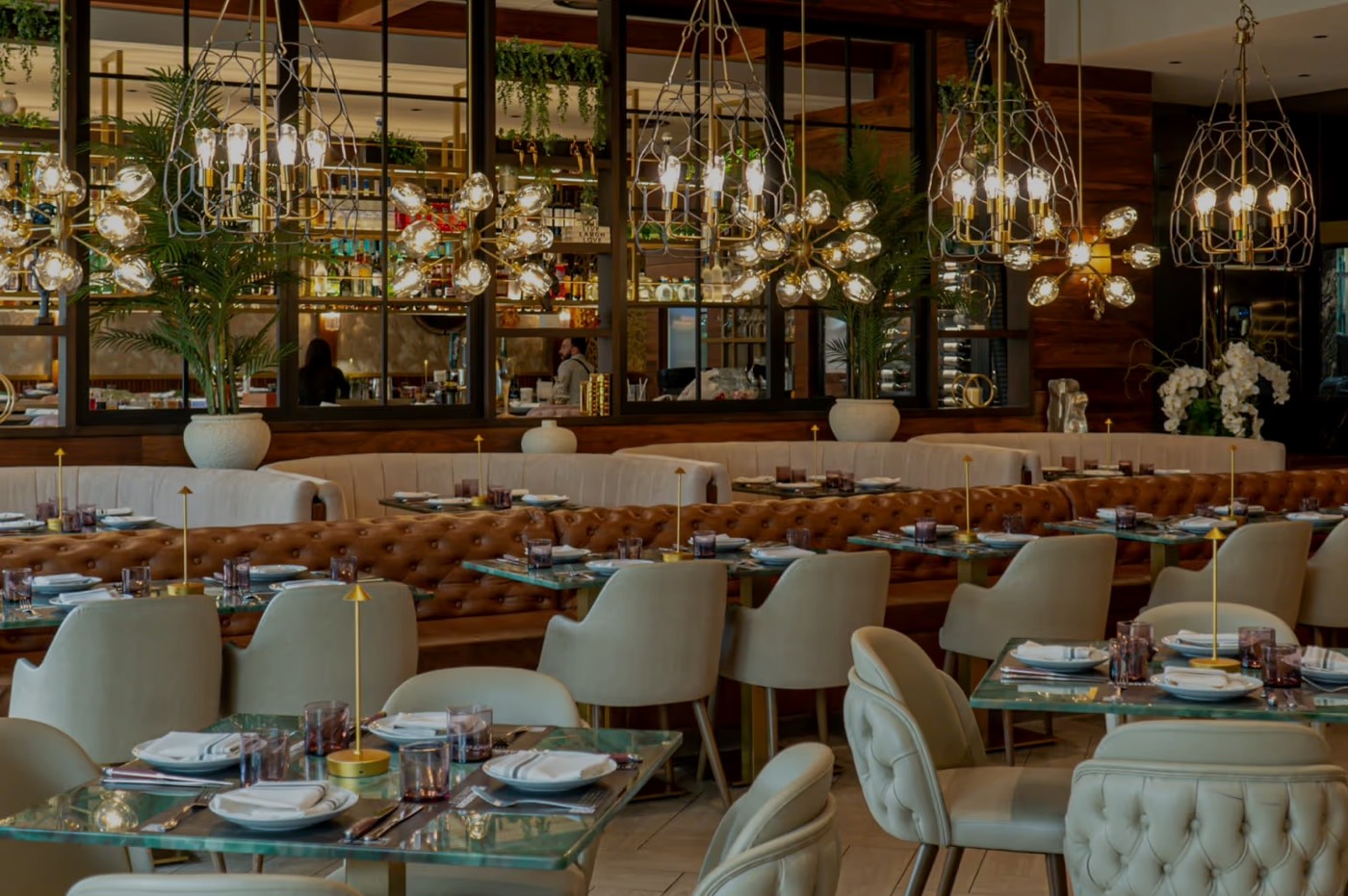 Infographic Baires Grill Restaurant Spotlight